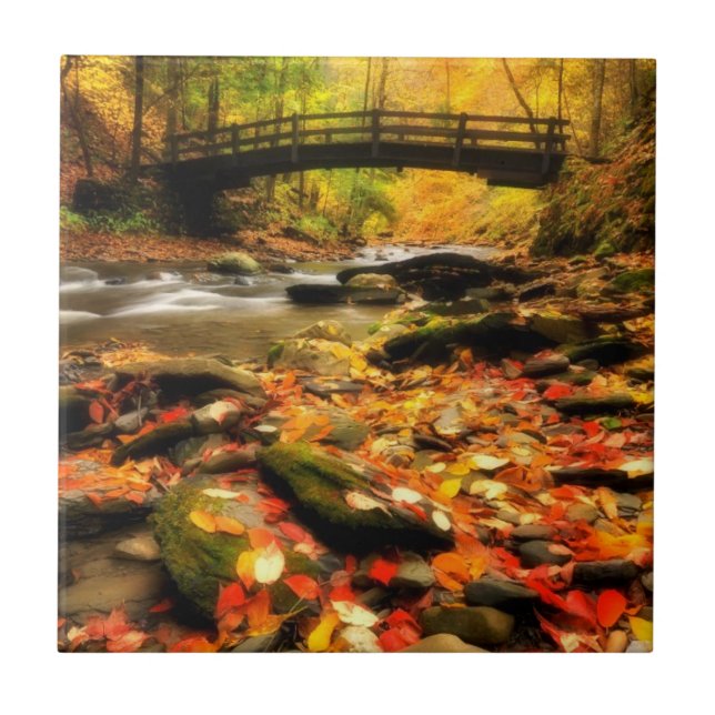 Carreau Pont en bois et crique dans l'automne (Devant)