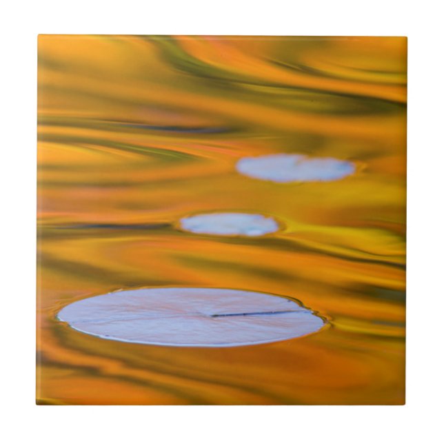 Carreau Pont Lily sur l'eau orange, Canada (Devant)