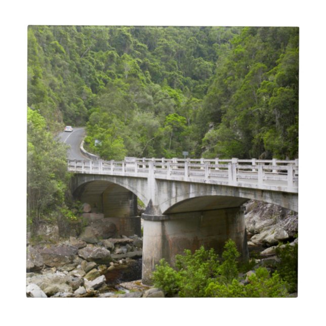 Carreau Pont sur le ruisseau, parc national Tsitsikamma (Devant)