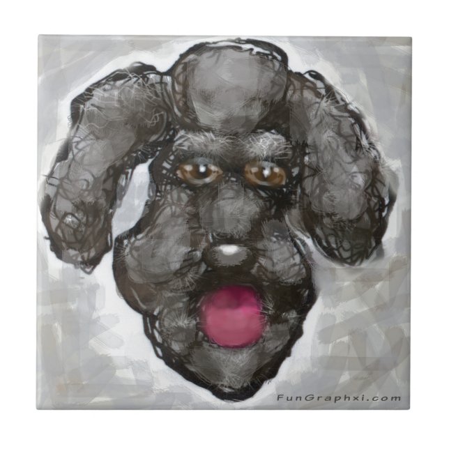 Carreau Poodle (Devant)