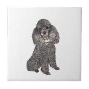 Carreau Poodle - Jouet /Miniature Argent