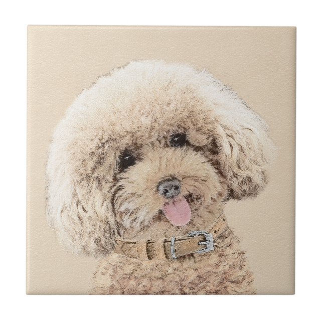 Carreau Poodle Miniature Toy Apricot Crème Chien Brown Art (Devant)
