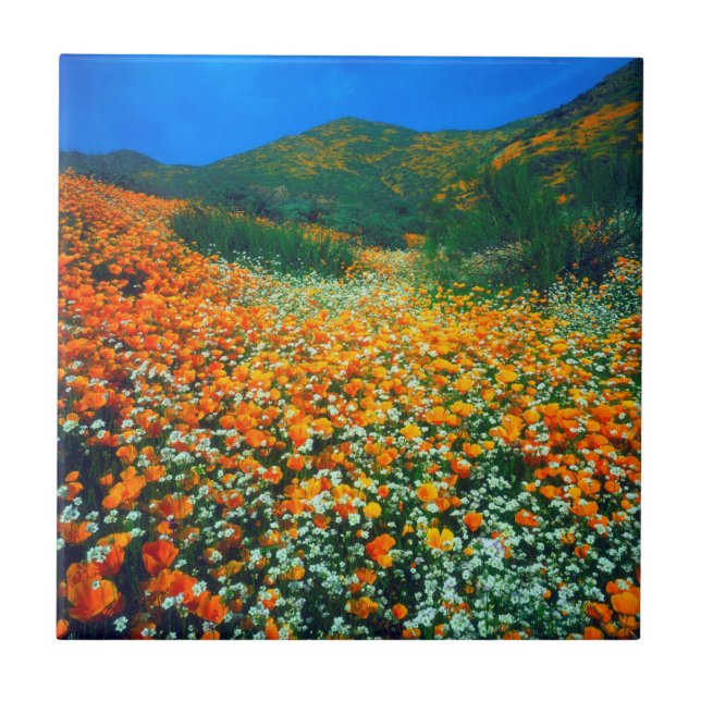 Carreau Poppies de Californie et fleurs sauvages de pop-co (Devant)