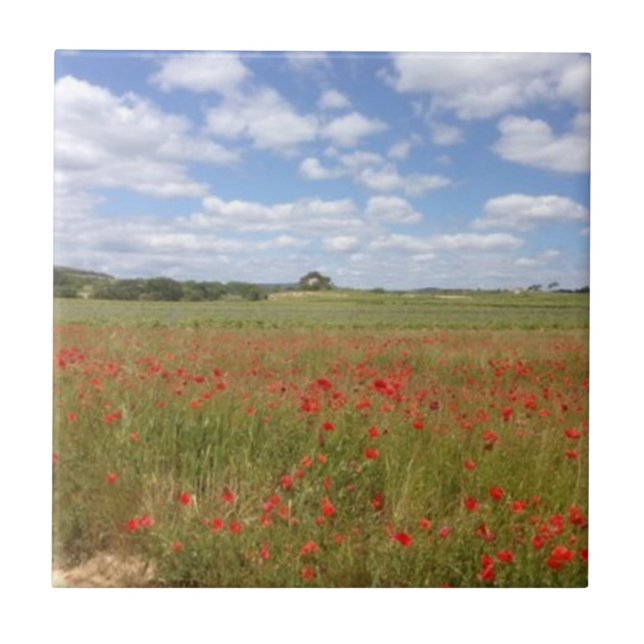 Carreau Poppies rouges françaises et ciel bleu (Devant)