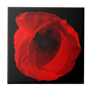 Carreau Poppy