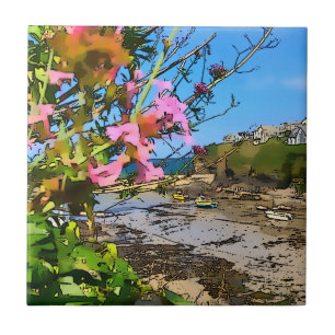 Carreau Port Isaac Cornwall Harbour Friends