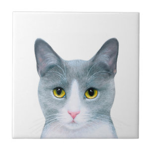 Carreau Portrait de chat gris 611