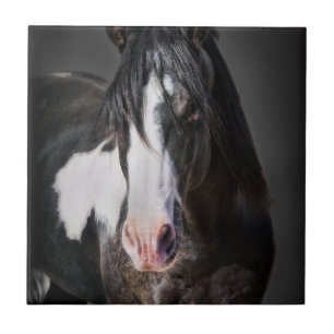 Carreau Portrait de cheval II