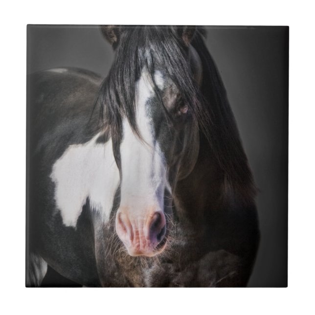 Carreau Portrait de cheval II (Devant)