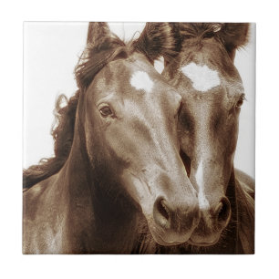 Carreau Portrait de cheval III