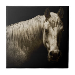 Carreau Portrait de cheval VI