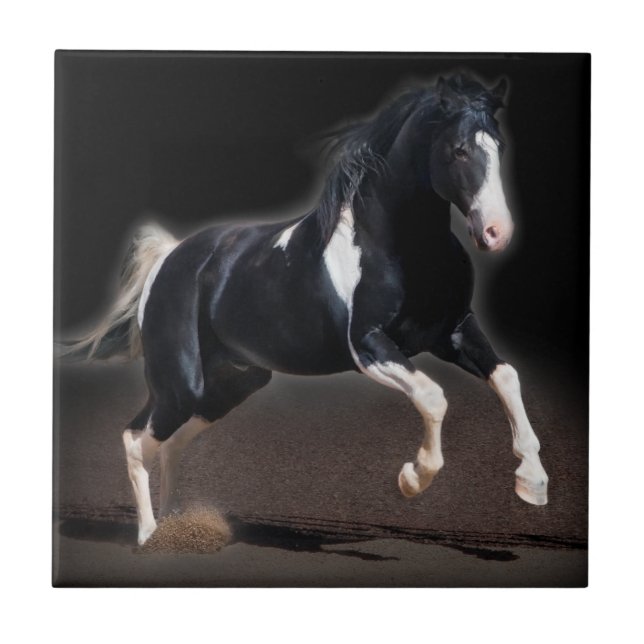 Carreau Portrait de cheval VIII (Devant)
