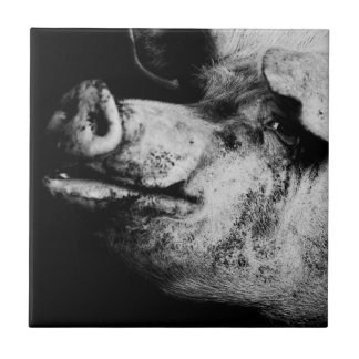 Carreau portrait de cochon