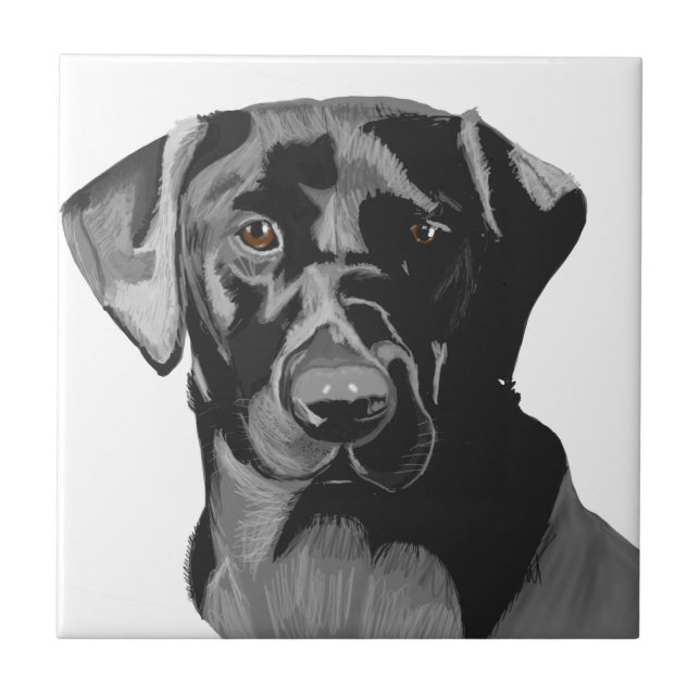 Carreau Portrait du Labrador noir  (Devant)