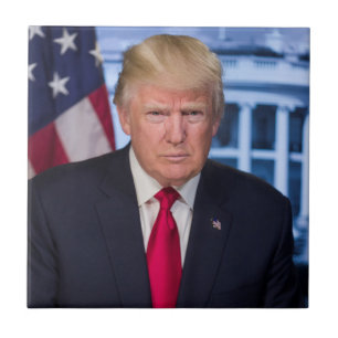 Carreau Portrait officiel de Donald Trump