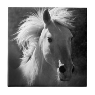 Carreau Portrait V de cheval