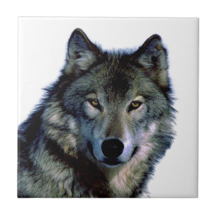 Carreau Portrait Wolf