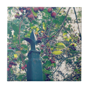 Carreau Poste de clôture