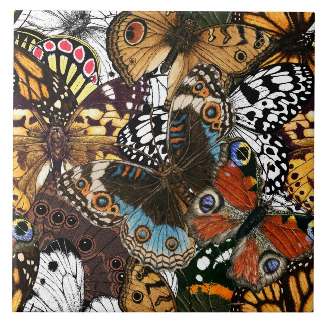 Carreau Poster de animal. Ailes papillons. (Devant)