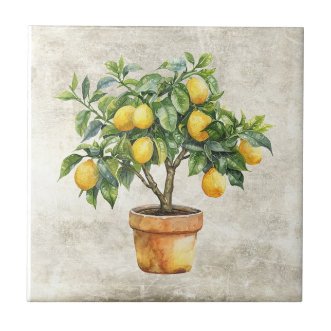 Carreau Pot de céramique d'arbre citronnier rustique (Devant)