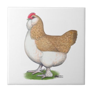 Carreau Poule de Faverolle
