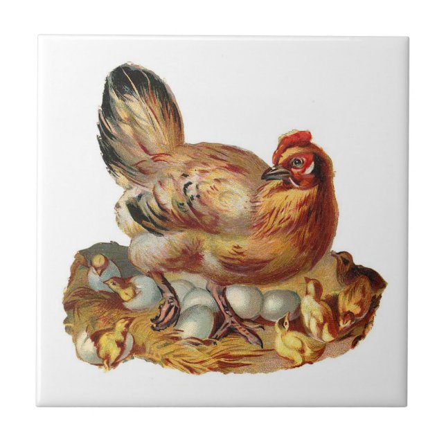 Carreau Poule de mère et tuile de poussins (Devant)