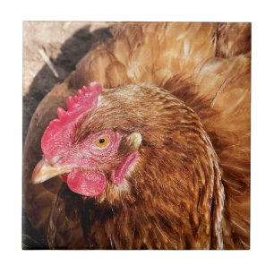 CARREAU POULET CUIT