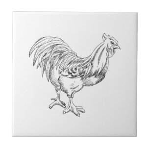 Carreau Poulet en stylo et encre
