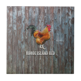 Carreau Poulet rouge de Rhode Island