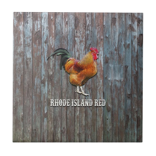 Carreau Poulet rouge de Rhode Island (Devant)