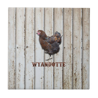 Carreau Poulet Wyandotte