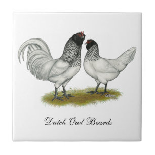 Carreau Poulets à la barbe de hibou néerlandais