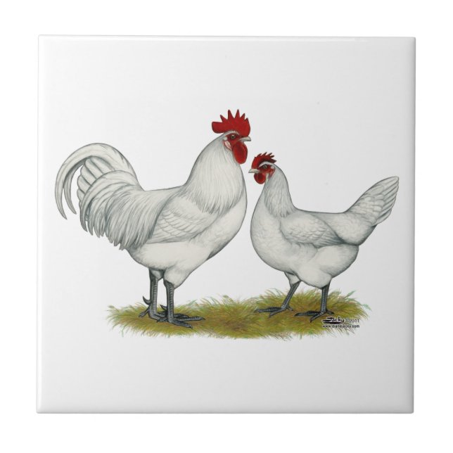Carreau Poulets bleus de pied (Devant)