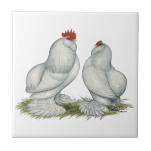 Carreau Poulets de d'Everberg de Barbu