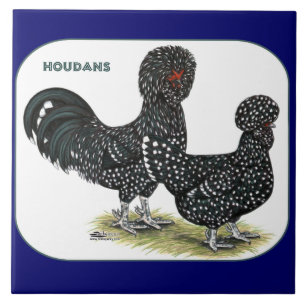 Carreau Poulets de Houdan