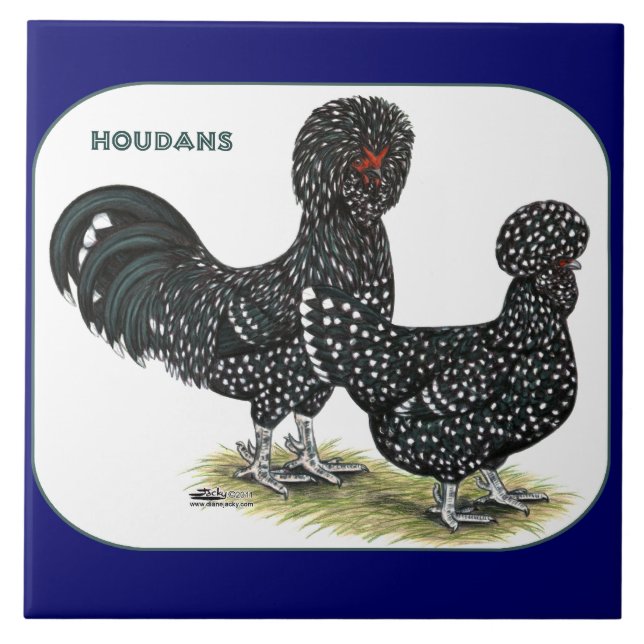 Carreau Poulets de Houdan (Devant)