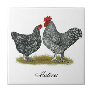 Carreau Poulets de Maline