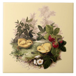 Carreau Poulets et fraises par L. Prang & Co.