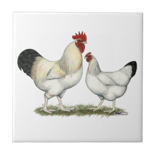Carreau Poulets indiens de rivière