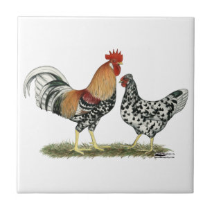 Carreau Poulets islandais