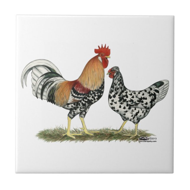 Carreau Poulets islandais (Devant)
