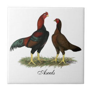 Carreau Poulets rouges noirs d'Aseel