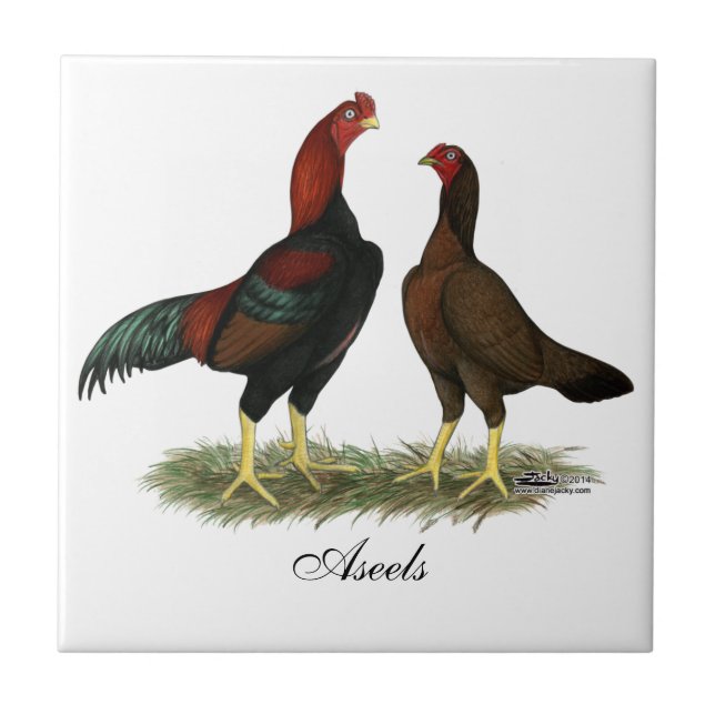 Carreau Poulets rouges noirs d'Aseel (Devant)