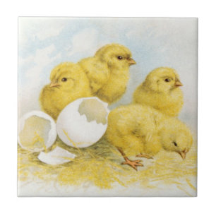 Carreau Poulets vintages de bébé