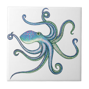 Carreau Poulpe