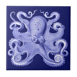 Carreau Poulpe Bleu Maison de Plage Nautique Côtière Haeck