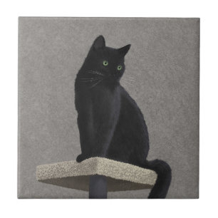 Carreau Pourcentage de chat noir