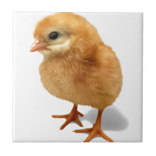 Carreau Poussin