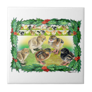 Carreau Poussins de Noël