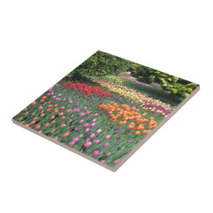 CARREAU PRÉ DE TULIPE